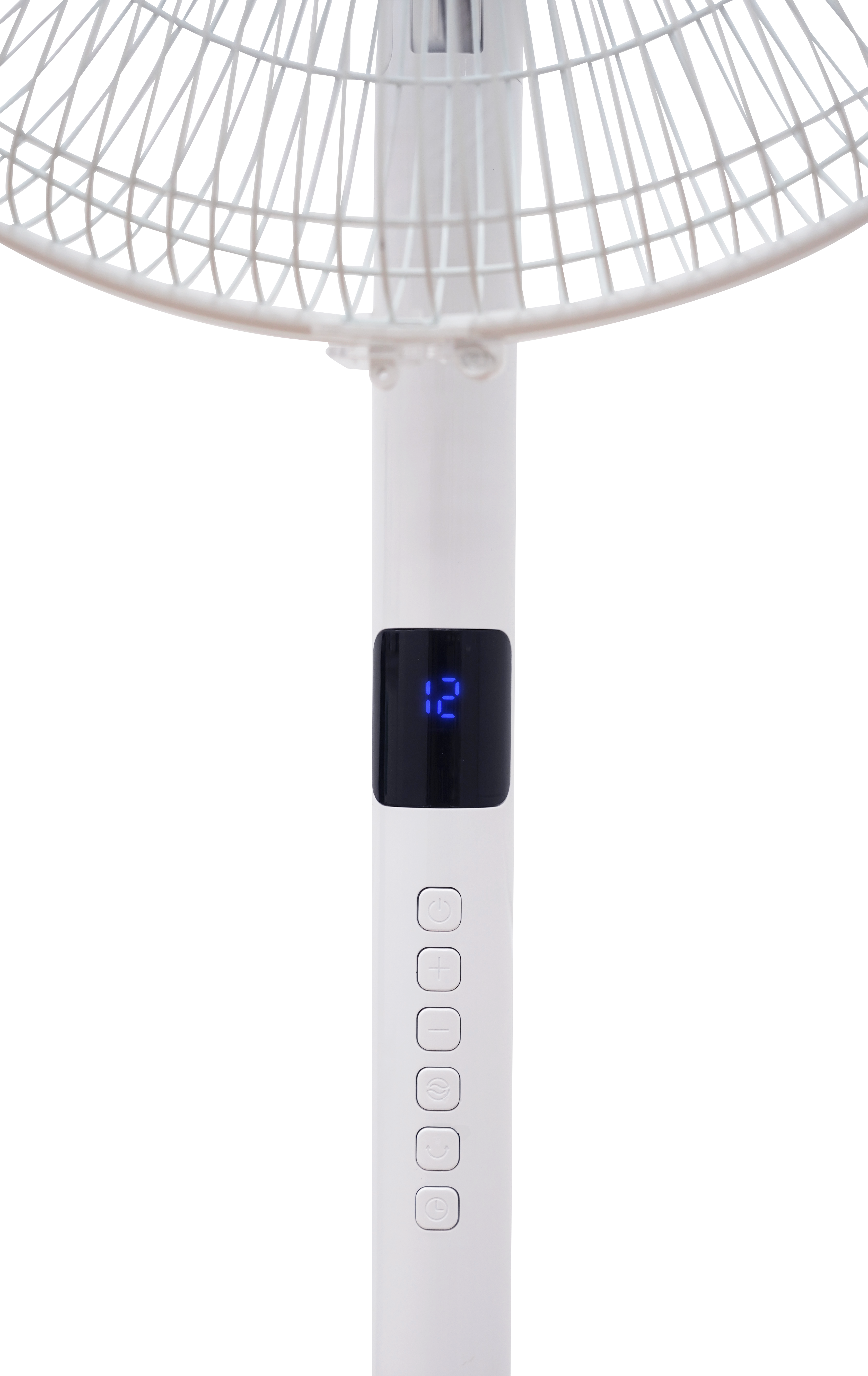 Ảnh 2