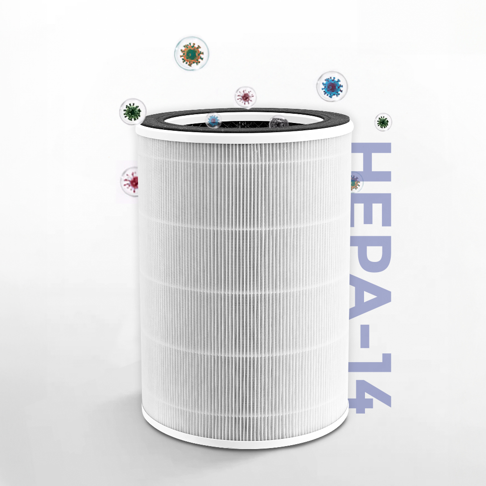 Ảnh 3
