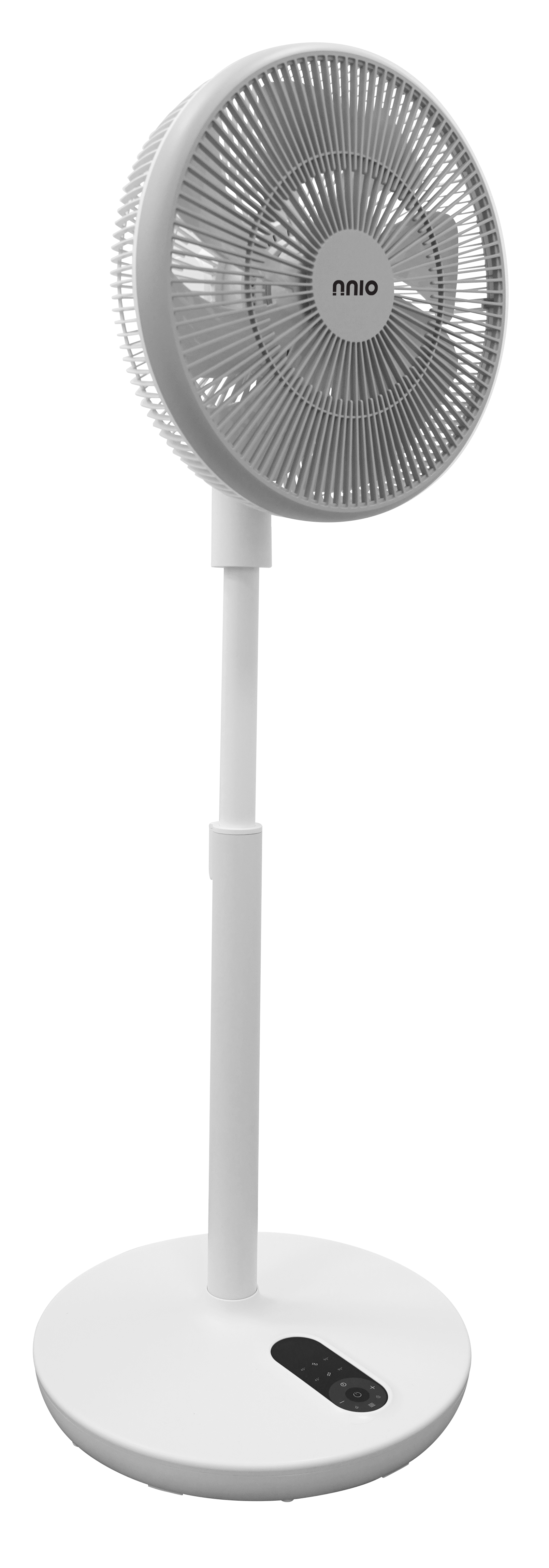 Ảnh 4
