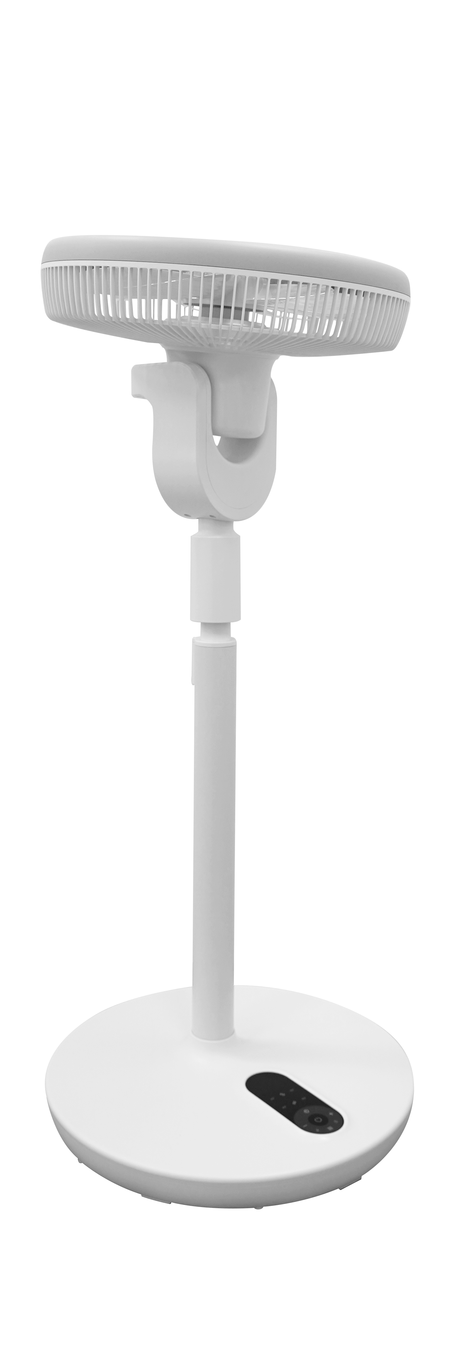 Ảnh 5