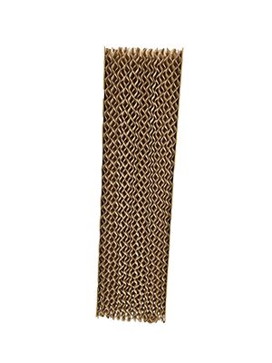 Ảnh 12