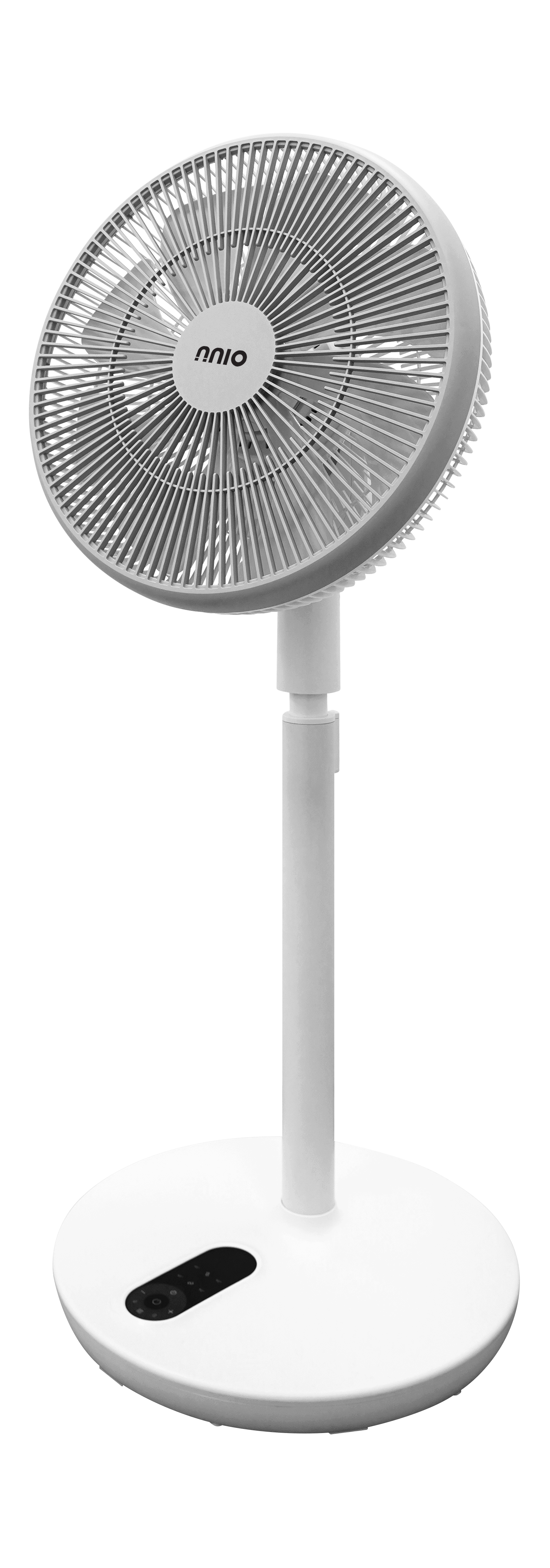 Ảnh 7